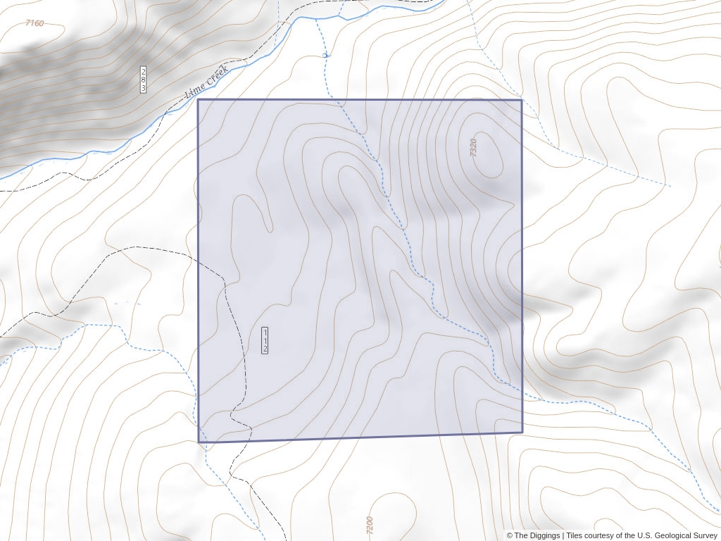 RATTLESNAKE', 21 acre Lode Claim in Custer, Idaho